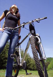 Interesting facts about bicycles in Denmark. Interesting facts about bicycles in Denmark.