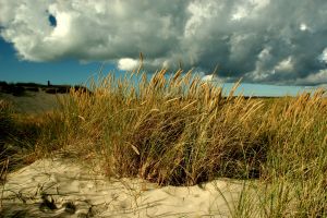 Beautiful Danish Beaches